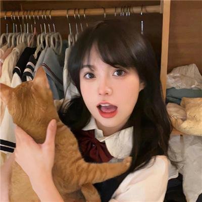 星际狗狗
